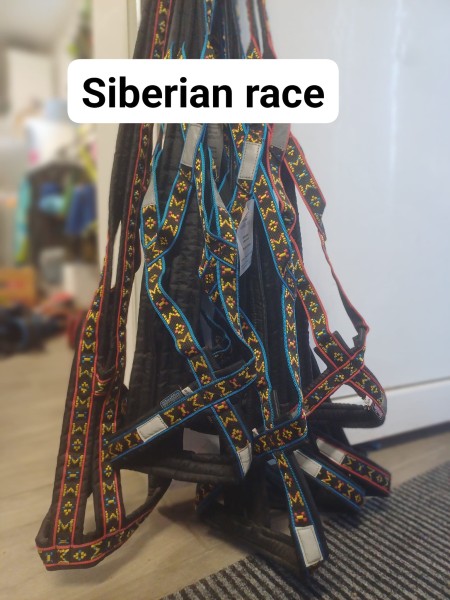 Siberian Race SALE blau